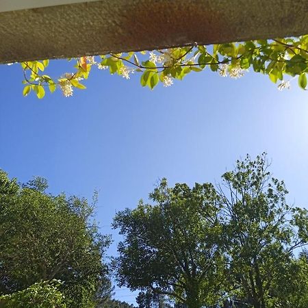 Chambre Entre Source Et Volcan Lalevade-dʼArdèche エクステリア 写真
